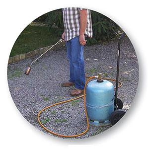 DESHERBEUR THERMIQUE PRO - photo 2