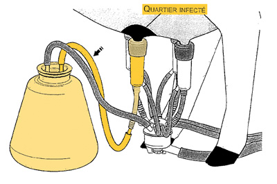POT SEPARATEUR DE TRAITE 8 L - photo 2