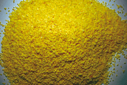 AIL GROSSE SEMOULE 1 KG