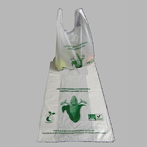 SAC BRETELLE 26 X 45 LE 100 SAC BRETELLE 26 X 45 LE 100