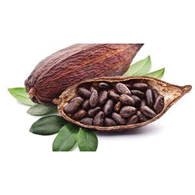 AROME NATUREL CHOCOLAT AROME NATUREL CHOCOLAT