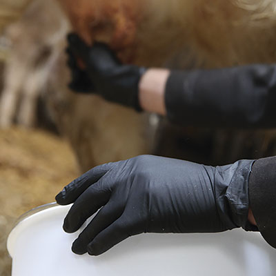 GANTS SPECIAL ELEVAGE FARM300 - photo 2