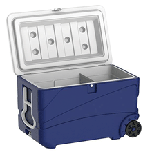 GLACI&Egrave;RE PRO 65L 2 ROUES