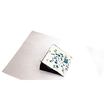 PAPIER DUPLEX CAMEMBERT 25 X 33 - photo 2