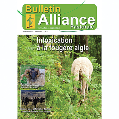 BULLETIN MENSUEL BULLETIN MENSUEL