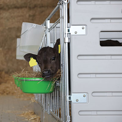 BOX À VEAU MODULABLE - POSE LIBRE - photo 6