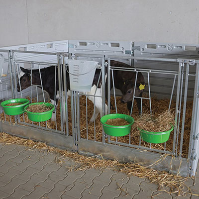 EXTENSION POUR BOX À VEAU MODULABLE - POSE LIBRE - photo 6