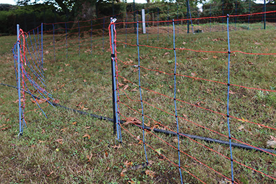 FILET TITANNET PREMIUM - photo 8