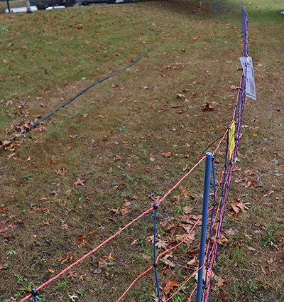 FILET TITANNET PREMIUM - photo 9