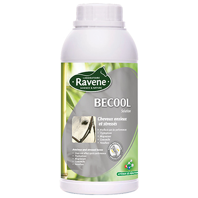 BECOOL -  500 ml