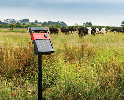 POSTE SPEEDRITE S80 - photo 2