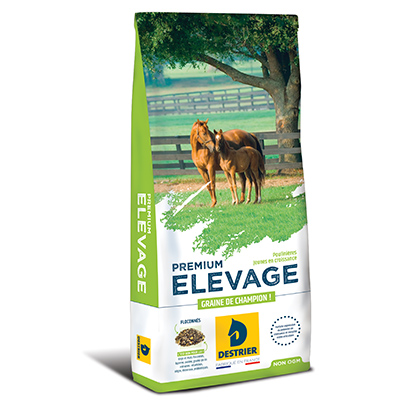 DESTRIER PREMIUM ELEVAGE