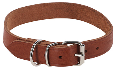 COLLIER CHIEN CUIR