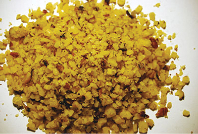 NOIX HACH&Eacute;E  - 1 kg