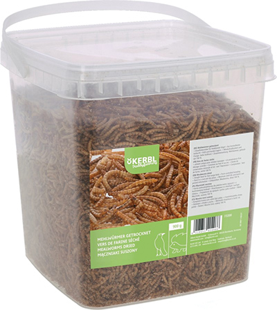 VERS DE FARINE - 900 g