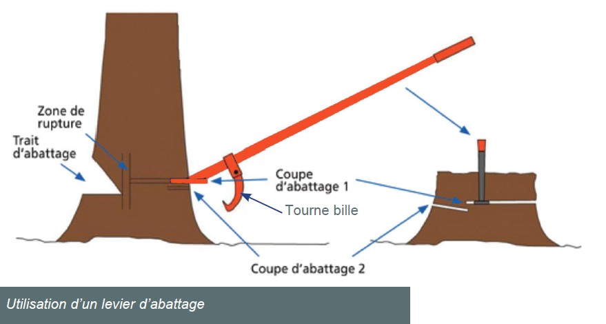 Les outils économie d'énergie du bûcheron - Alliance Elevage