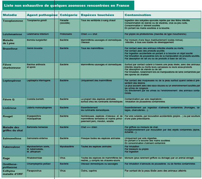 Les Zoonoses Danger Pour L Homme Alliance Elevage