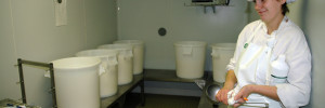 Maîtrise de l’acidification du caillé