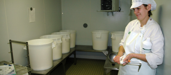 Maîtrise  de l’acidification du caillé