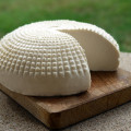 Du lait au fromage, lancez-vous !