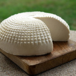 Du lait au fromage, lancez-vous !