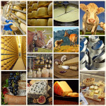 Les huit grandes familles de fromages