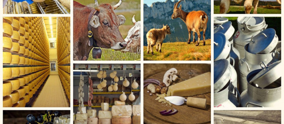 Les huit grandes familles de fromages