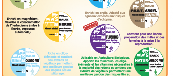 Seaux à lécher ALIMAL
