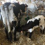 Bilan du Salon de l’Agriculture de Nouvelle-Aquitaine 2019