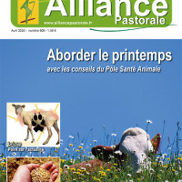 La consultation du Bulletin est ouverte et libre pour tous gratuitement.