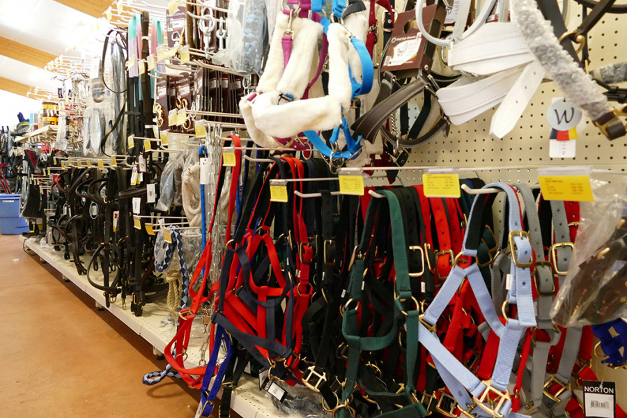 Confolens (Lessac) - Magasins et Relais - Alliance Elevage