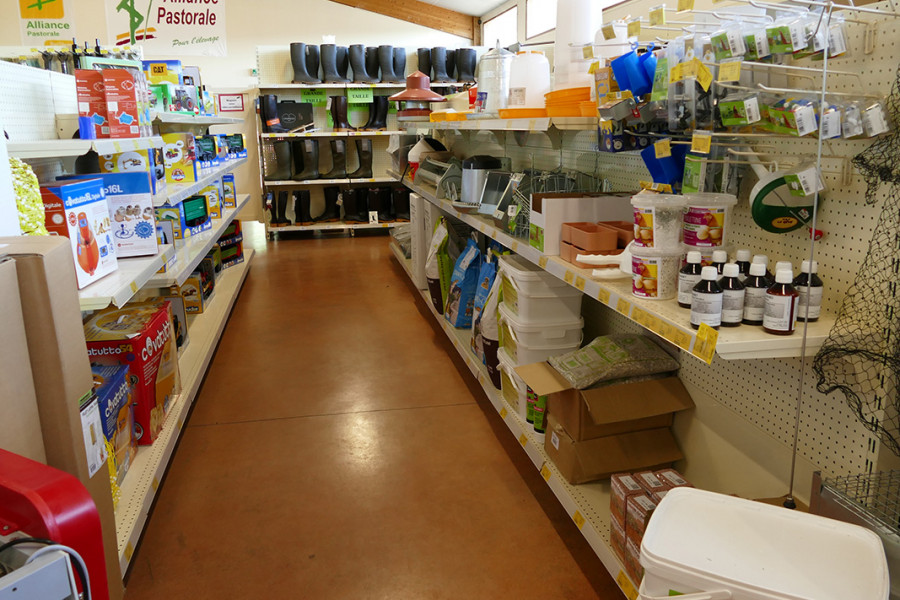 Confolens (Lessac) - Magasins et Relais - Alliance Elevage