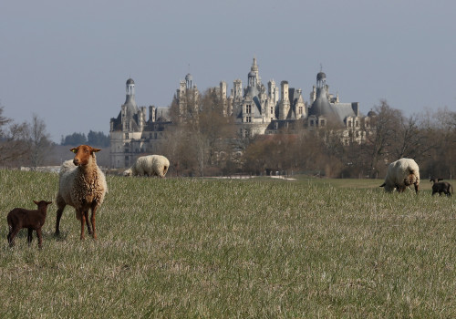 (c) Domaine national de Chambord - Olivier Marchant - (c) Domaine national de Chambord - Olivier Marchant