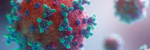 COVID-19 Pas de rôle des animaux dans la propagation du virus