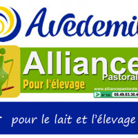La gamme Fromagerie grandit grâce à l'entente Alliance - Avedemil !