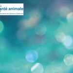 Préparation à l’hiver et stimulation de l’immunité