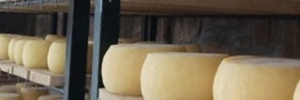 « La Fromagerie Rwanda », un petit projet devenu grand