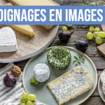 Une série de 3 films pour découvrir les secrets des fromages au lait cru