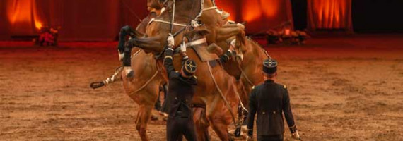 LE CADRE NOIR À BORDEAUX : BALLET EQUESTRE "AU CŒUR DU GRAND MANÈGE" Communiqué de presse, 21 novembre 2023 Le Jumping International de Bordeaux est de retour du 1er au 4 février au Parc des Expositions de Bordeaux. Pour l’ouverture de l’un des évèneme - LE CADRE NOIR À BORDEAUX : BALLET EQUESTRE "AU CŒUR DU GRAND MANÈGE" Communiqué de presse, 21 novembre 2023 Le Jumping International de Bordeaux est de retour du 1er au 4 février au Parc des Expositions de Bordeaux. Pour l’ouverture de l’un des évèneme -