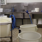 Choisir les bons  produits pour l’hygiène de la fromagerie