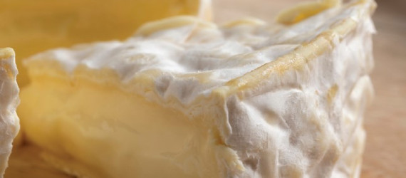 Déroulé de fabrication  d’un fromage  type Camembert