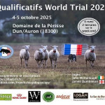 Chiens - Qualificatifs World Trial 2026 (18)