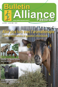 Bulletin de l'Alliance Pastorale N°966 - Juin 2025