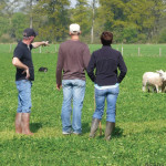 La mise en place et  la formation du chien Dresseurs/Moniteurs de chiens de bergerLa mise en place et  la formation du chien Dresseurs/Moniteurs de chiens de berger