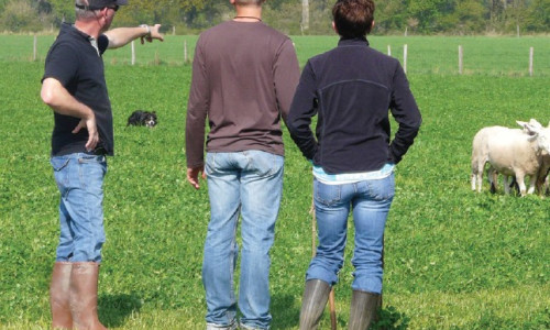 La mise en place et  la formation du chien Dresseurs/Moniteurs de chiens de bergerLa mise en place et  la formation du chien Dresseurs/Moniteurs de chiens de berger