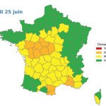 Qu’est ce que la météo des forêts ?