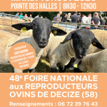 48ème foire nationale aux reproducteurs ovins de Decize (58)