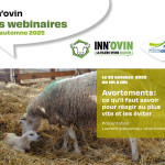 Webinaire Inn’ovin – Avortements : ce qu’il faut savoir pour réagir au plus vite et les éviter