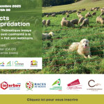 Webinaire Inn’ovin - Impacts de la prédation