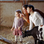 Les fermes pédagogiques Bienvenue à la ferme, premières portes de découverte de l’agriculture pour les scolaires